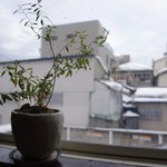 quatre cafe - カウンター席から