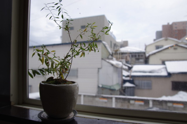 quatre cafe（カトルカフェ） - 青森（カフェ）の写真