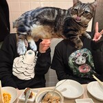 (楽)中華酒場 サンクスチャイナタウン - 左　ひとつめちゃんトレーナー　右　ギュスターヴとめばなちゃんTシャツ