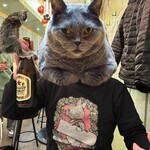 (楽)中華酒場 サンクスチャイナタウン - ニャンコTシャツ　珍しくアノマロがいない！！