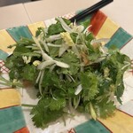(楽)中華酒場 サンクスチャイナタウン - パクチーサラダ！！