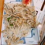 釣宿酒場 マヅメ - 