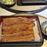 うなぎ 目白ぞろ芽 - 