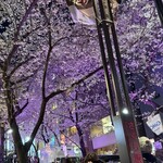 リゾットカレースタンダード - 