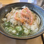 葉隠うどん - 小生の海老かき揚げうどん　安定の旨さ