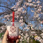 わらび餅専門店 WARABIYA - 