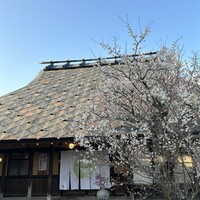 心根 - 