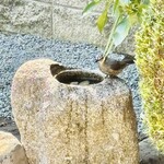 本格讃岐うどん こころ彩 - 窓からの風景