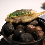 ラ・ヴァガボンド - 稚鮎