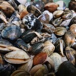 ラーメン金子 - アサリが届いた◝(⑅>ᴗ<⑅)◜