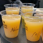 UCHU BREWING - NANO UCHU Nelson SauvinとNZH1011