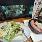 バル マルシェ コダマ - 左からハウスワイン赤、グリーンサラダ(食べかけ)、シポラタ ソーセージ