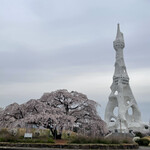 聖丘カントリー倶楽部 レストラン - 