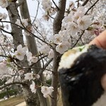 米蔵 - 桜（とおにぎり）