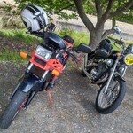 大衆磯料理 磯辺 - 