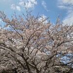 大衆磯料理 磯辺 - 