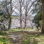 大衆磯料理 磯辺 - 