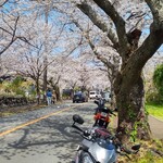 大衆磯料理 磯辺 - 