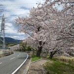 大衆磯料理 磯辺 - 