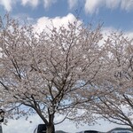 大衆磯料理 磯辺 - 