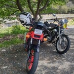 大衆磯料理 磯辺 - 