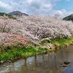 大衆磯料理 磯辺 - 