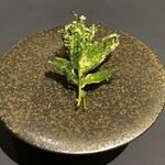 プレゼンテ スギ - 