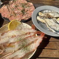 THE RIGOLETTO -  THE RIGOLETTO -