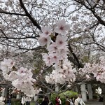 創作居酒屋 漣 - 