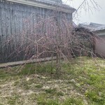 綿向山ビレッジ キッチン&ゲストハウス - 