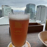 CRAFT BEER HOUSE molto!! 梅田店 - 