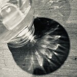 やさいの王様 - 