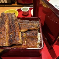 炭焼うな富士 大丸京都別邸 - 鰻溢れて意味をなさん蓋が横でモノリス立ちな特上重