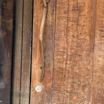 中華蕎麦にし乃 - 取手がうなぎ！