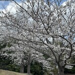 レストラン 風の丘 - 