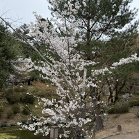 未在 - 