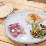 Hathor - 本日の３種のサラダプレート～ミニトルティーヤ付～