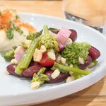 Hathor - 本日のサラダ２
