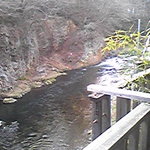 割烹旅館 湯の花荘 - 部屋の外からの景色（新緑や紅葉の季節は絶景と思われる）