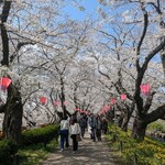 ZakkaCafe Rose House - 権現堂桜堤