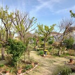 ケーキラボ・マグネット - 