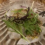 BIRD LAND - 比目魚卡帕喬