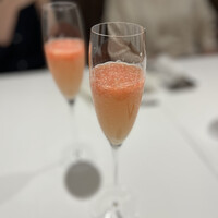 ロドラント ミノルナキジン - 