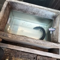 新宿うな鐵 はなれ - 
