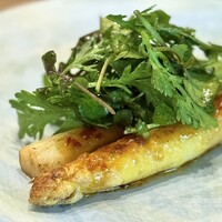 aru - ・北河さんのホワイトアスパラガス