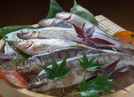 炉とマタギ - 新鲜な川鱼をじっくり炭火で焼き上げます