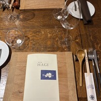 HAGI - 