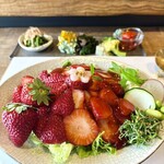 ココロトココロ - 