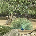 なんじゃろ - 