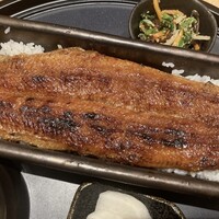 うなぎ四代目菊川 ミッドランドスクエア 名古屋本店 - 